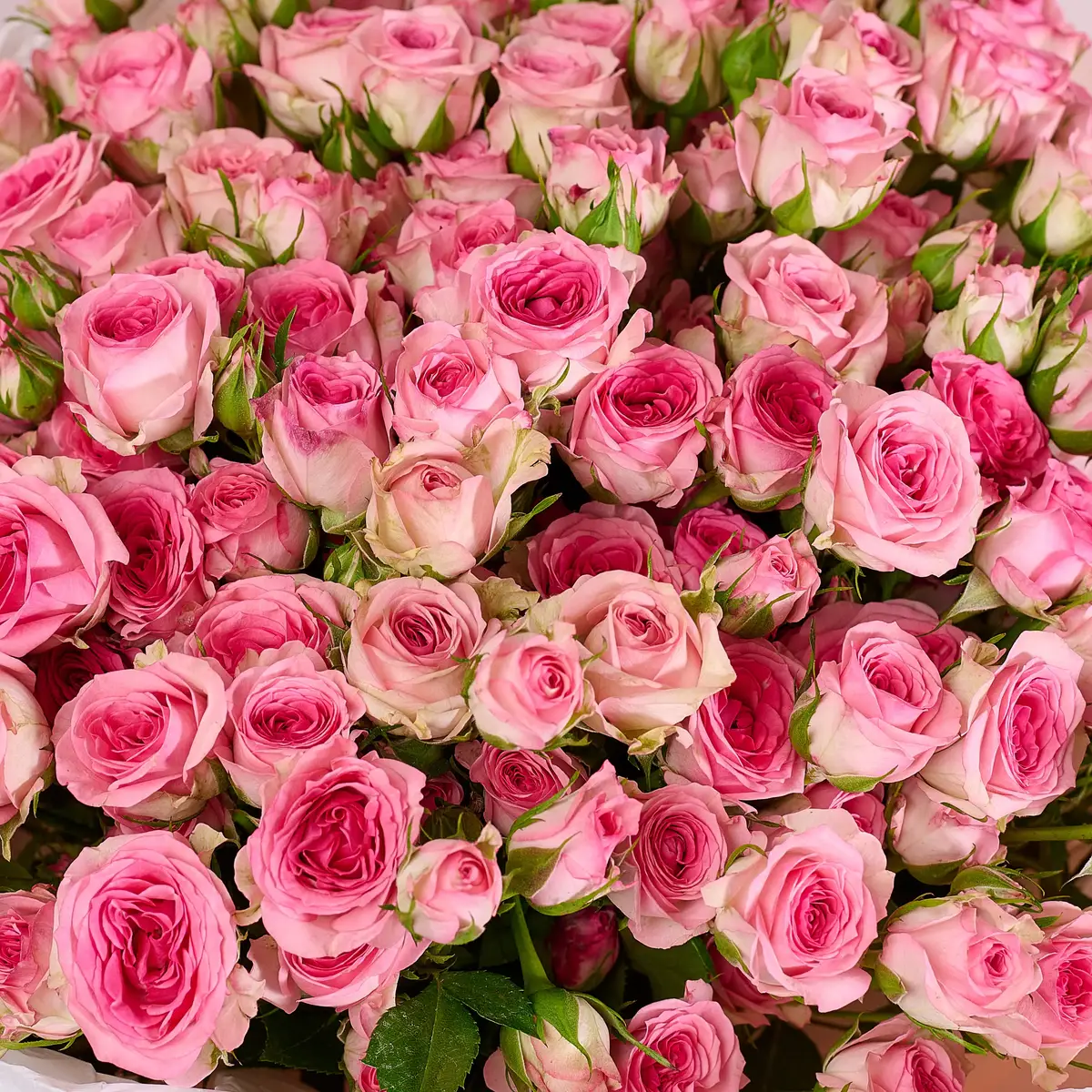 Букет 35 Троянд спрей Тралала купити недорого в Україні, фото 3