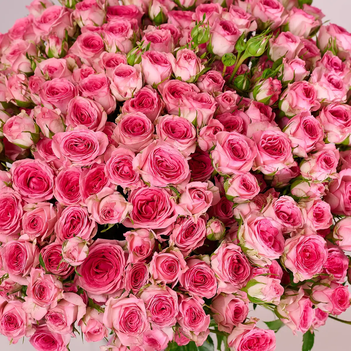 Букет 41 Троянда спрей Тралала купити недорого в Україні, фото 3