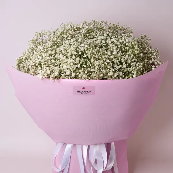 Букет 35 Білих Гіпсофіл купити