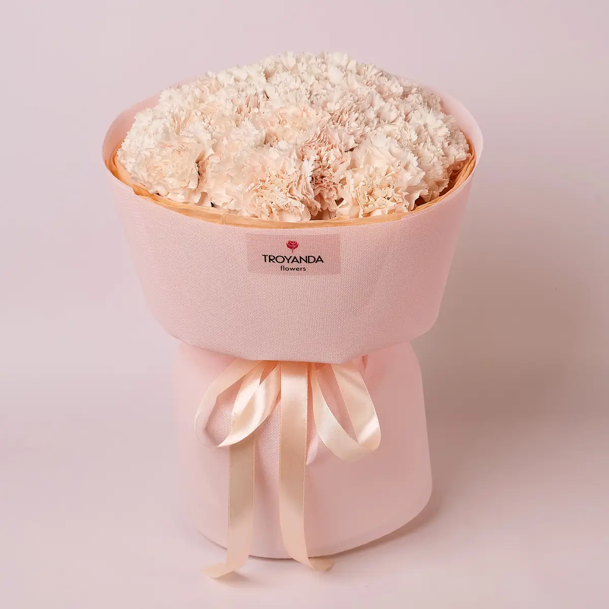 Букет 25 Бежевых Гвоздик купить