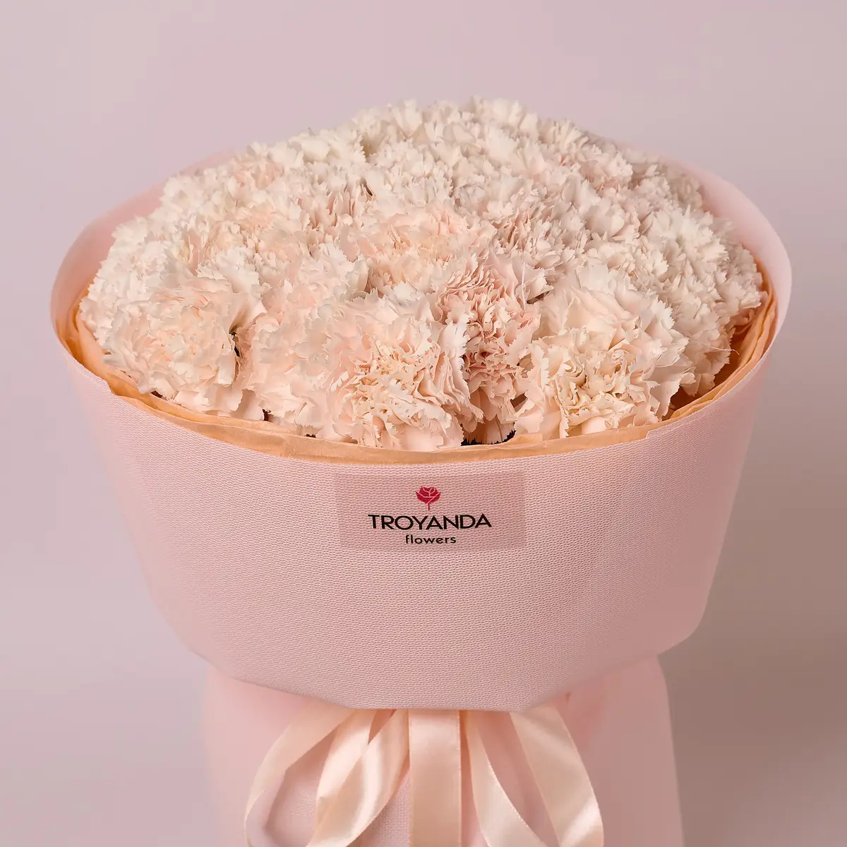 Букет 25 Бежевых Гвоздик купить недорого в Украине, фото 2