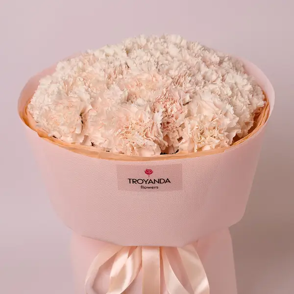 Букет 25 Бежевых Гвоздик купить