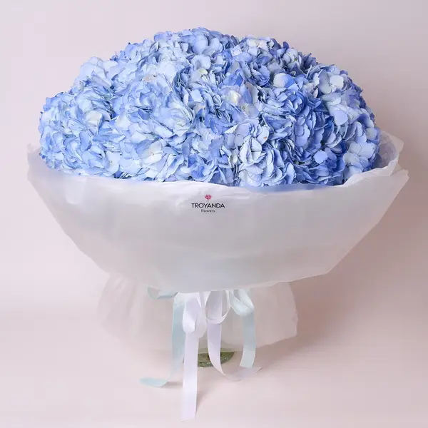 Букет 15 Блакитних Гортензій купити