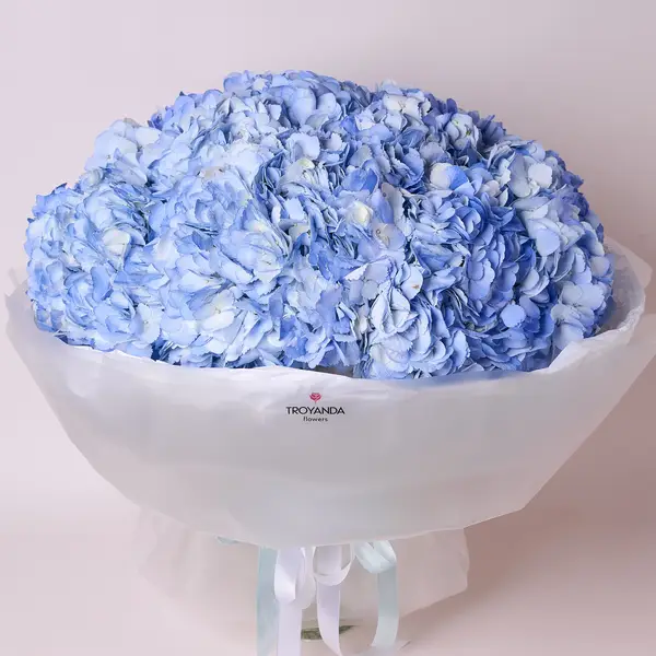Букет 15 Блакитних Гортензій купити