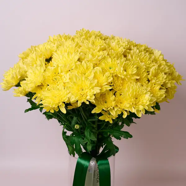 Букет 25 Жовтих Хризантем купити