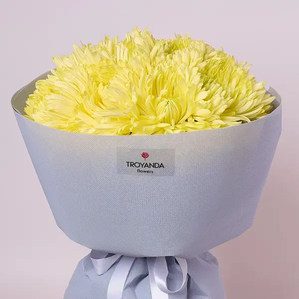 Букет 11 Однобутонних Жовтих Хризантем купити