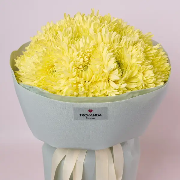 Букет 15 Однобутонних Жовтих Хризантем купити