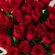 Букет 35 Троянд червоних Родос купити