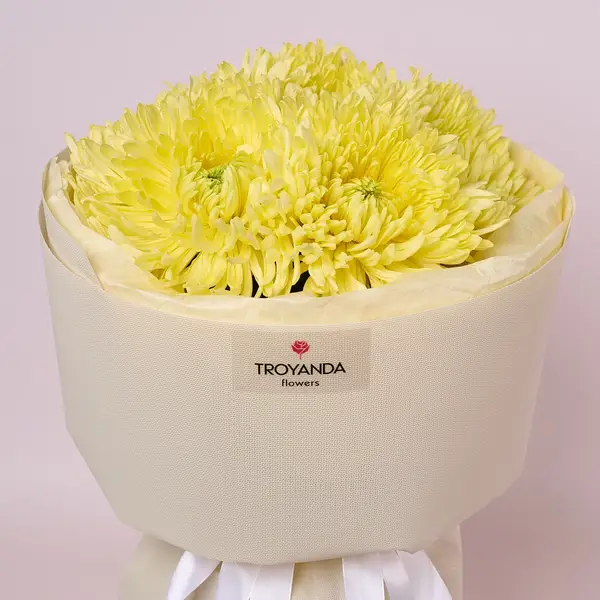 Букет 7 Однобутонних Жовтих Хризантем купити
