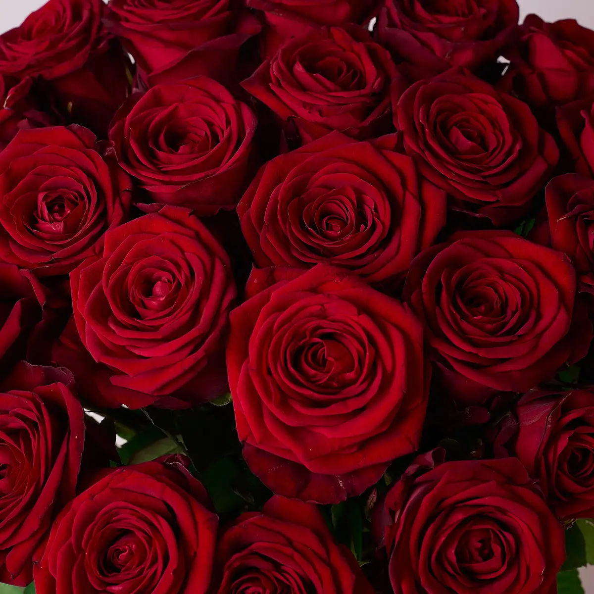 Букет 25 Роз красных Ред Наоми купить недорого в Украине, фото 3