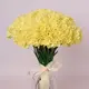 Букет 51 Желтая Гвоздика купить