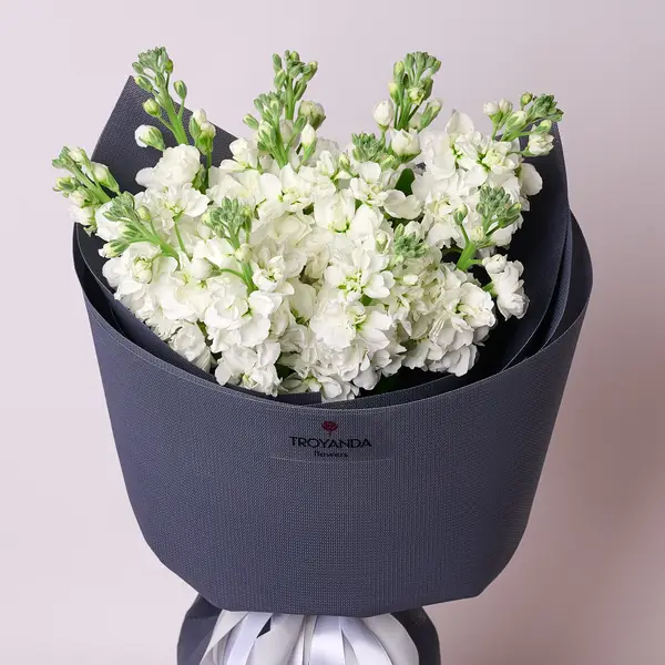 Букет 11 Білих Матіол купити