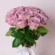 Букет 17 Троянд Меморі Лейн купити
