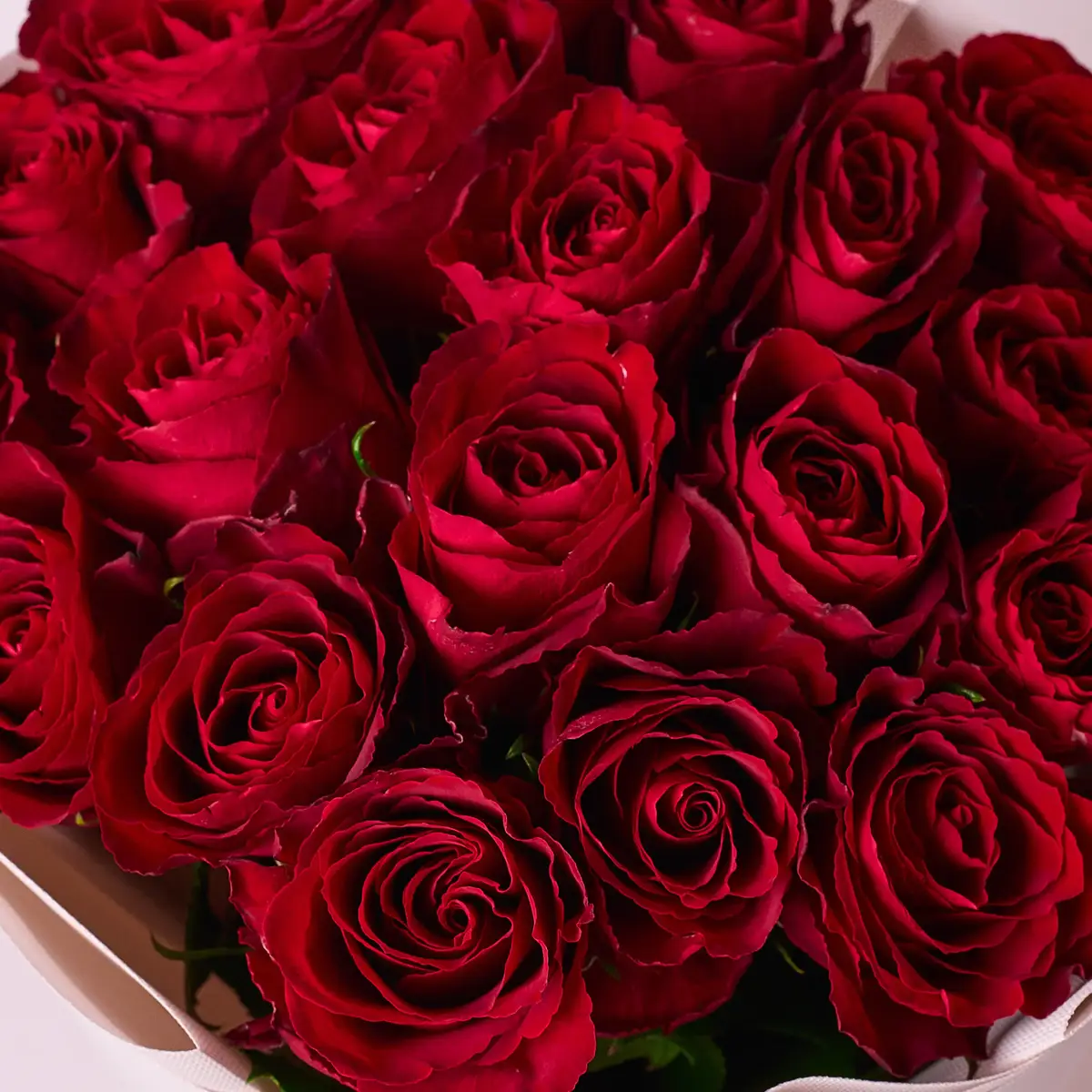 Букет 19 Троянд червоних Мадам Ред купити недорого в Україні, фото 3