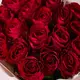 Букет 19 Троянд червоних Мадам Ред купити