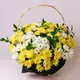 Корзина траурна з Хризантем купити