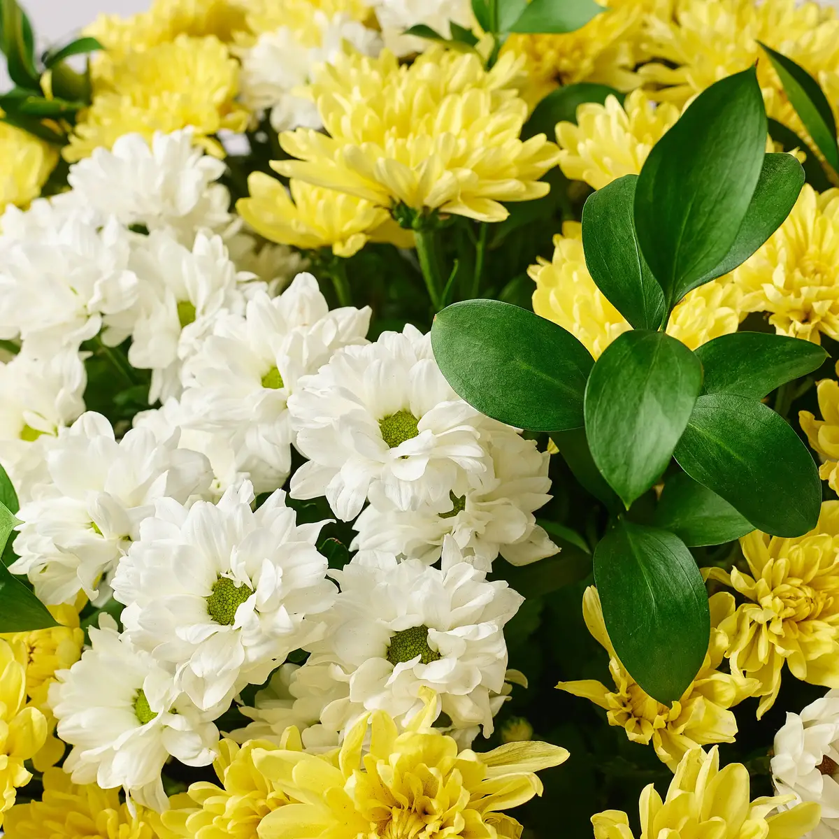 Корзина траурна з Хризантем купити недорого в Україні, фото 3