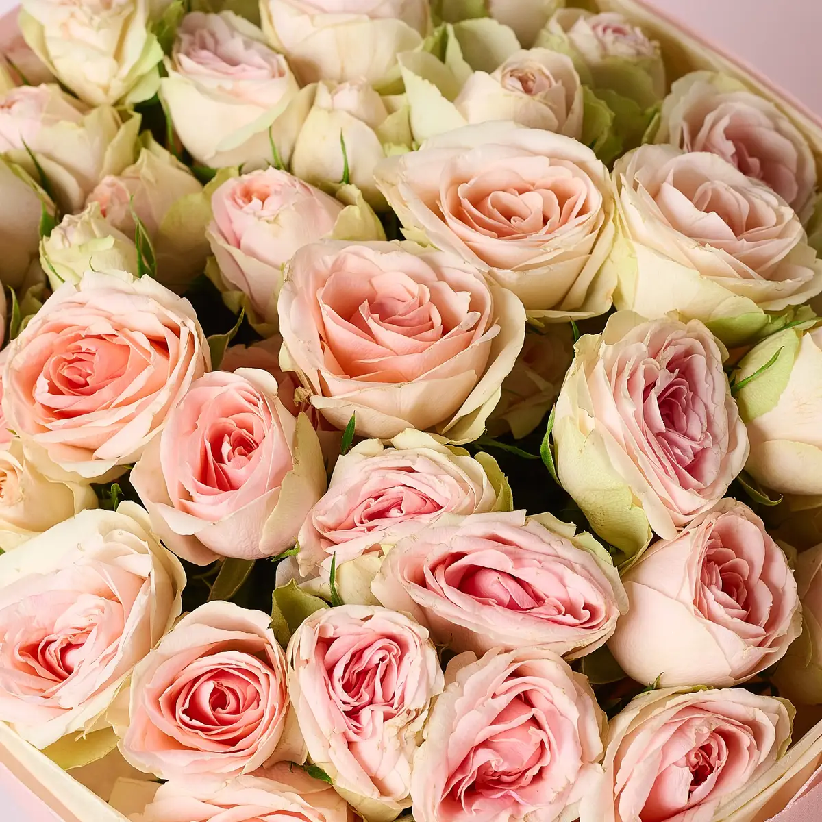 Букет 11 Троянд спрей Крісті купити недорого в Україні, фото 3