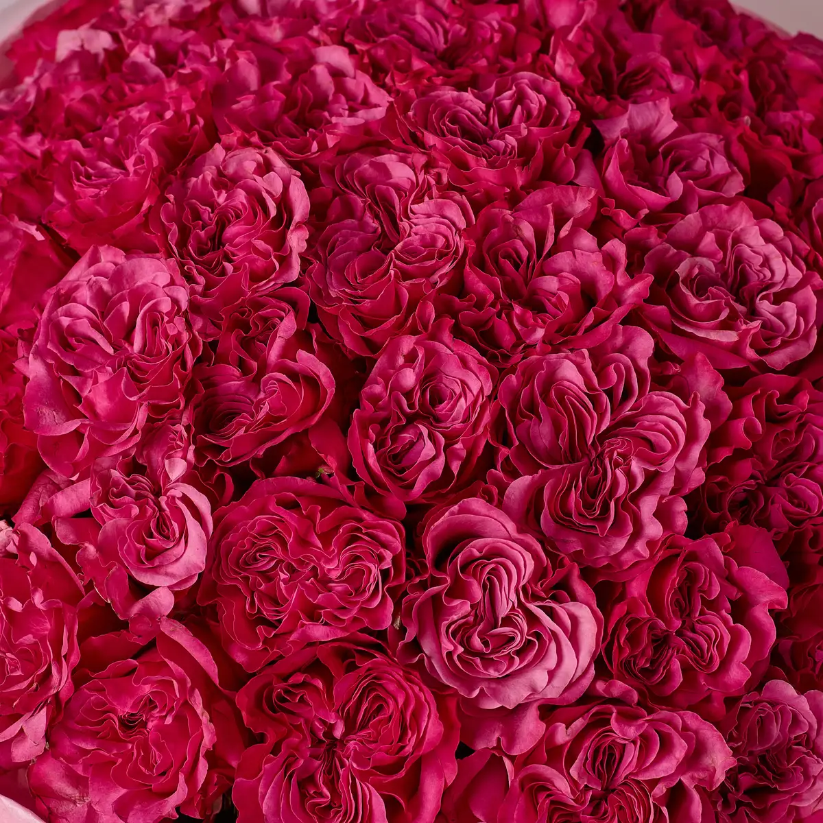 Букет 51 Роза Кантри Блюз купить недорого в Украине, фото 3