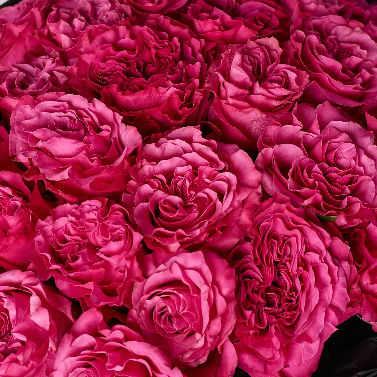 Букет 29 Троянд Кантрі Блюз купити недорого в Україні, фото 3