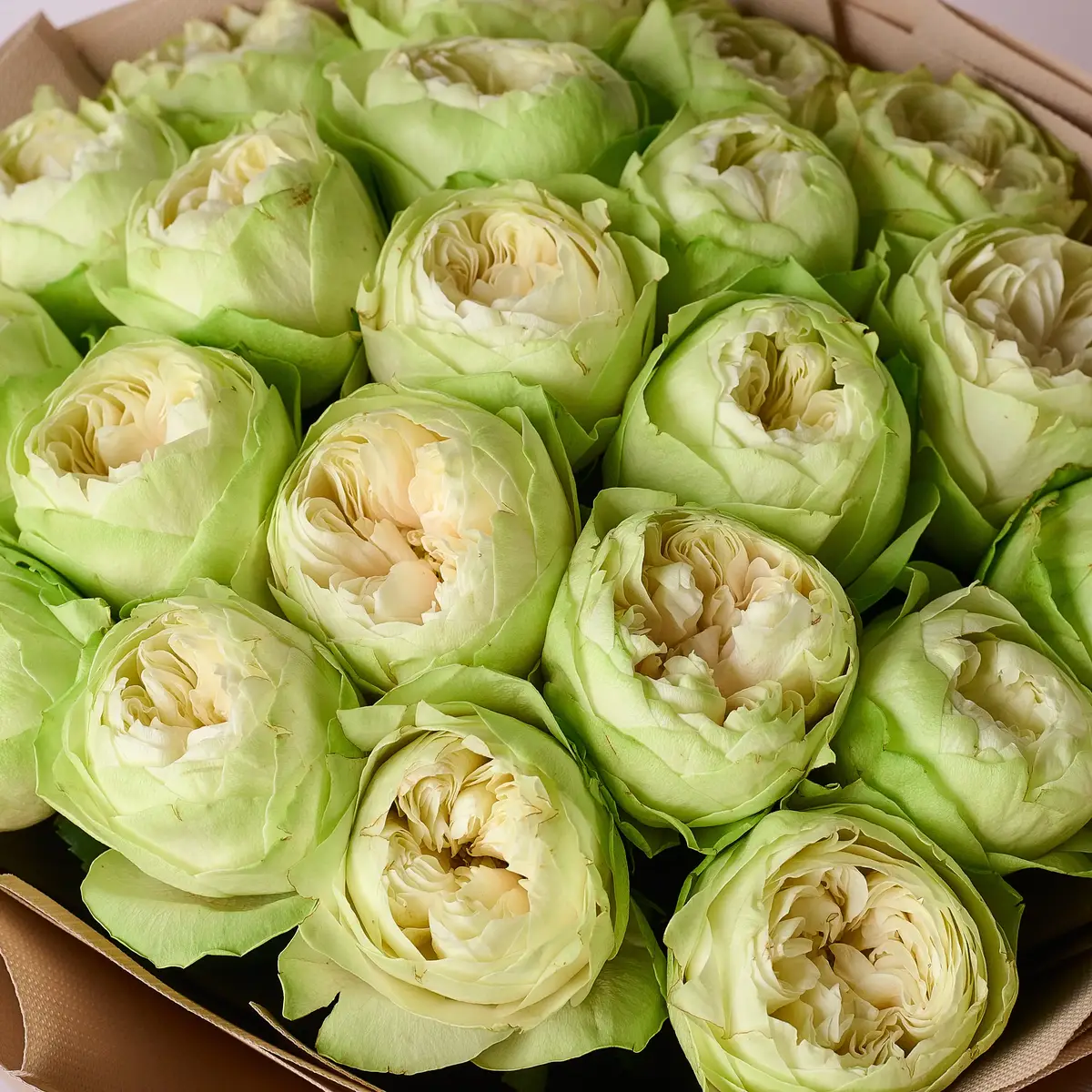 Букет 21 Троянда Вайт Кахала купити недорого в Україні, фото 3