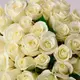 Букет 39 Роз Белуга купить