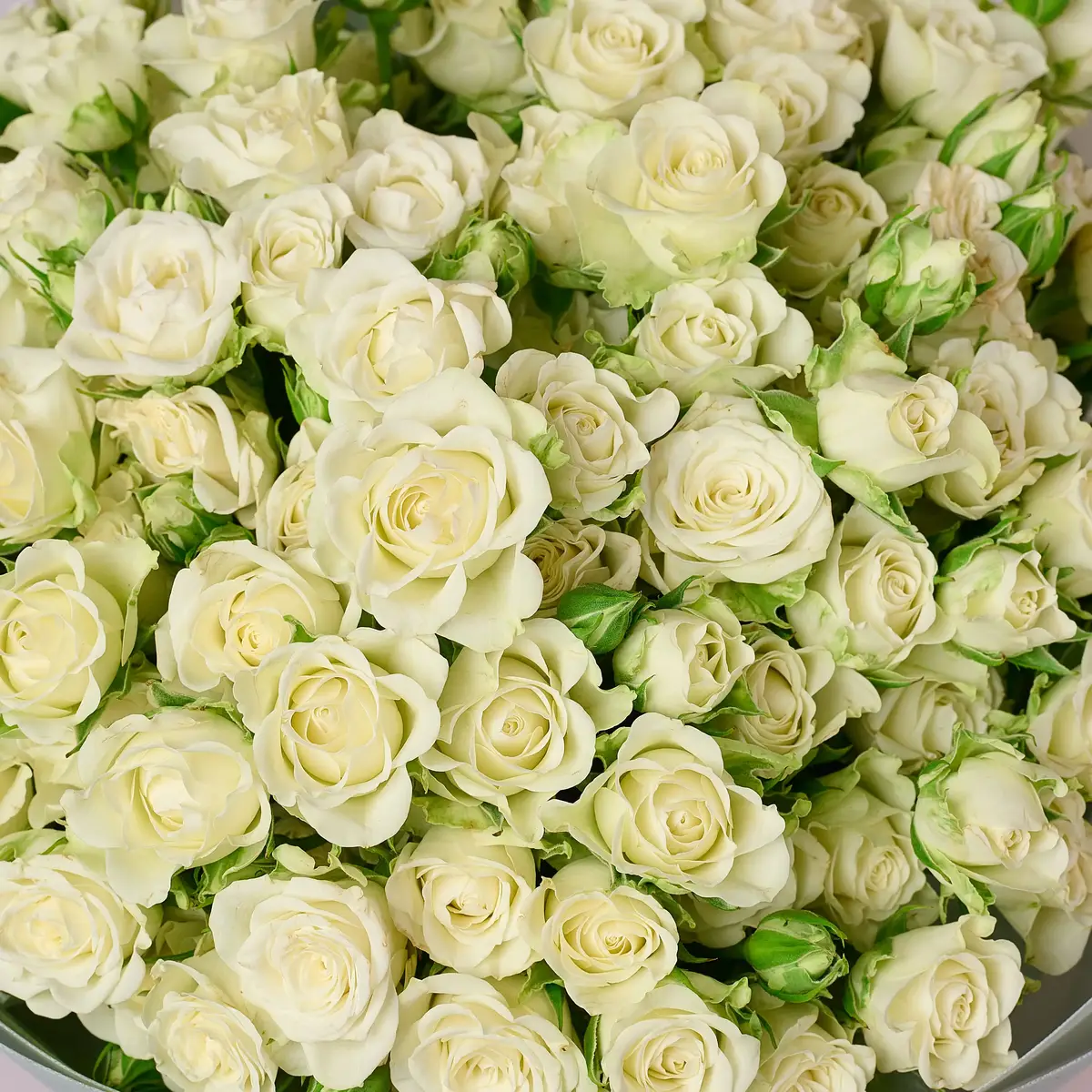 Букет 31 Троянда спрей Сновфлейк купити недорого в Україні, фото 3