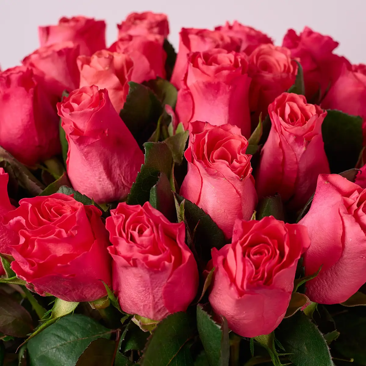 Букет 25 Троянд Пінк Таказі купити недорого в Україні, фото 3