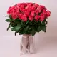 Букет 51 Троянда Пінк Таказі купити недорого в Україні, фото 240