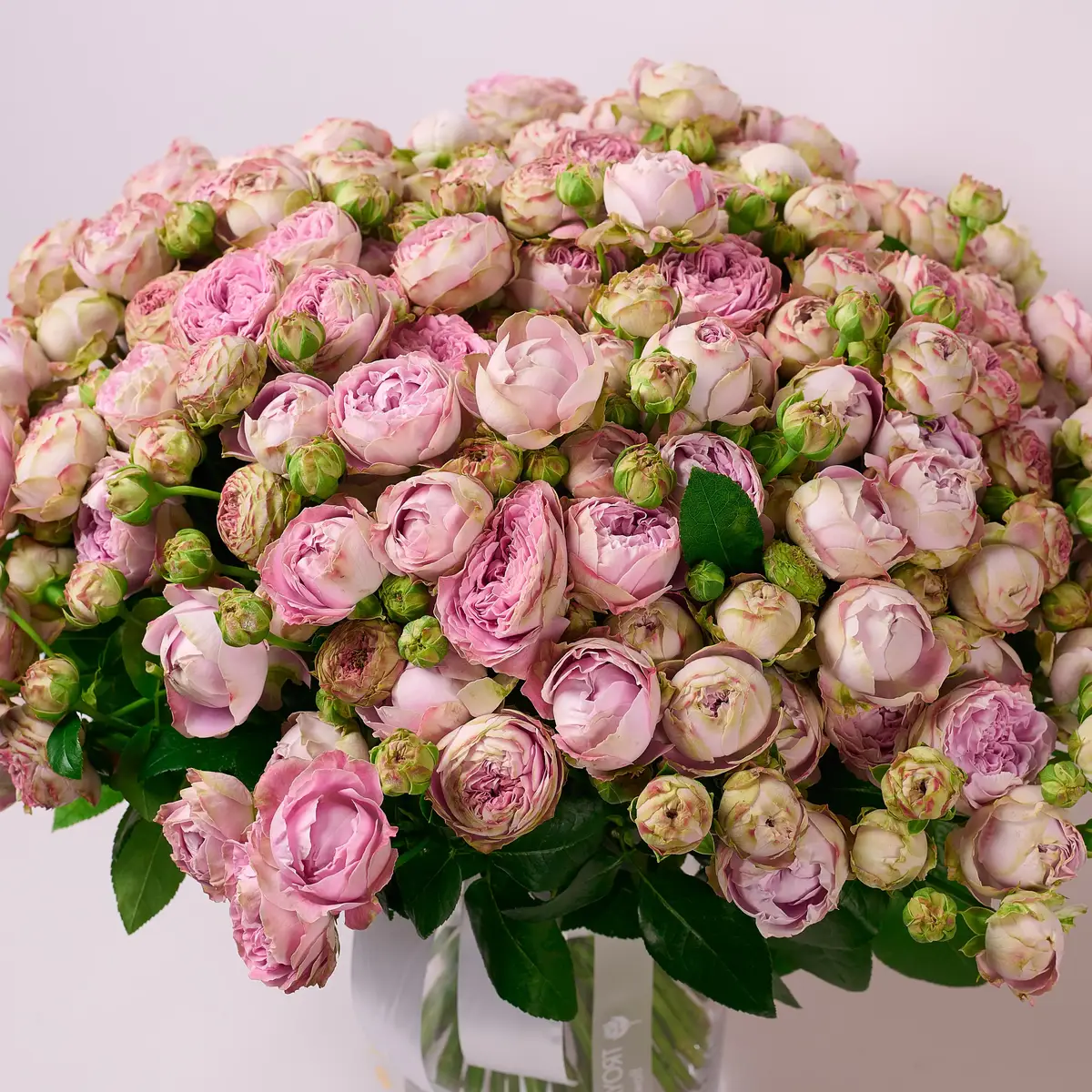 Букет 51 Троянда спрей Блоссом Баблз купити недорого в Україні, фото 2