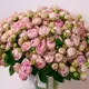 Букет 51 Троянда спрей Блоссом Баблз купити