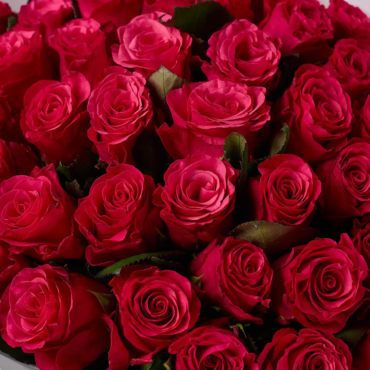 Букет 45 Роз Такази купить недорого в Украине, фото 3