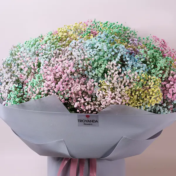 Букет 35 Кольорових Гіпсофіл купити