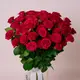 Букет 19 Троянд спрей Квінсі купити