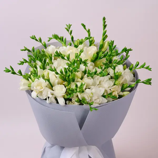 Букет 45 Білих Фрезій купити