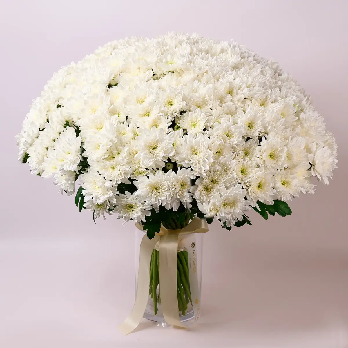 Букет 51 Біла Хризантема купити