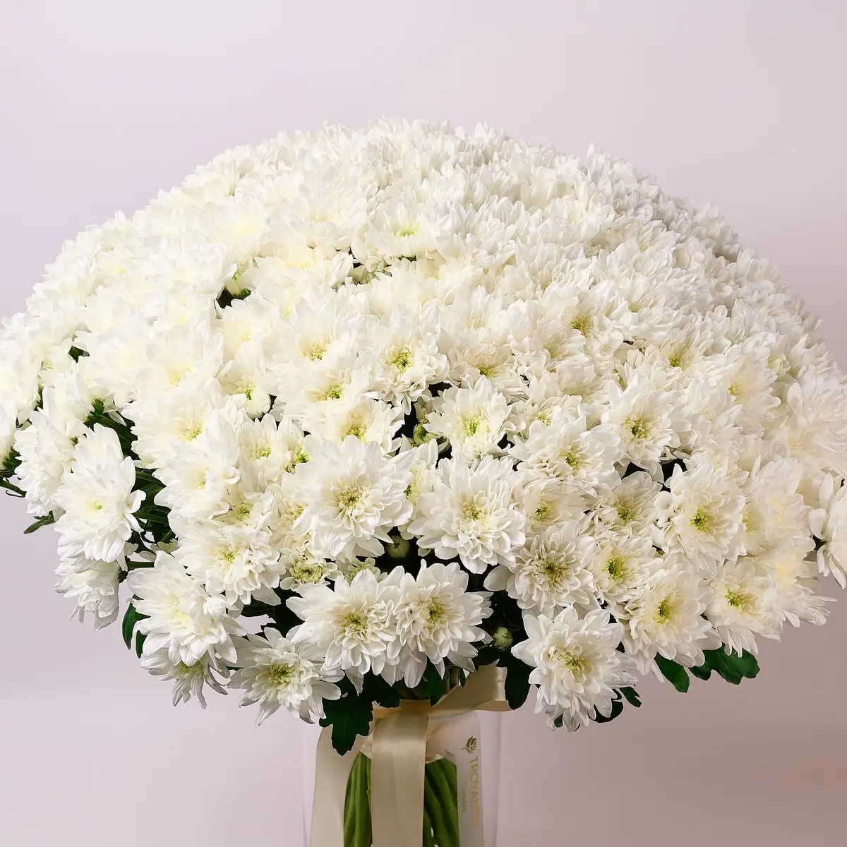 Букет 51 Біла Хризантема купити недорого в Україні, фото 2
