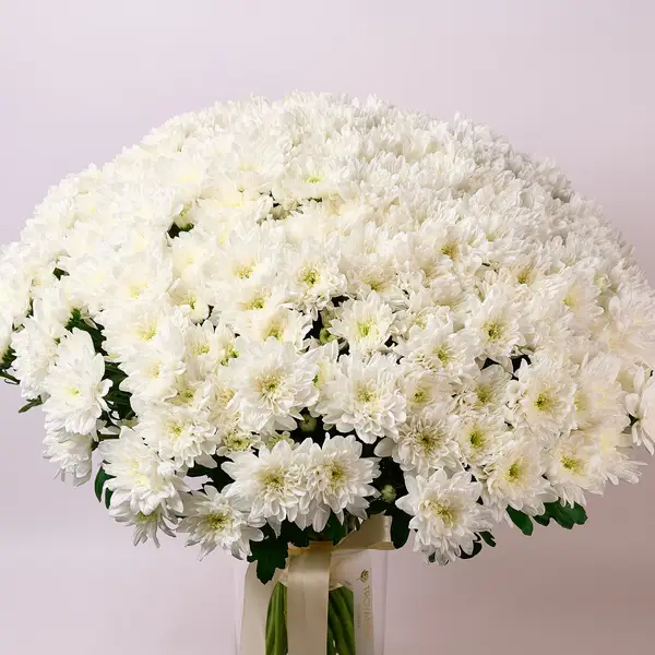 Букет 51 Біла Хризантема купити