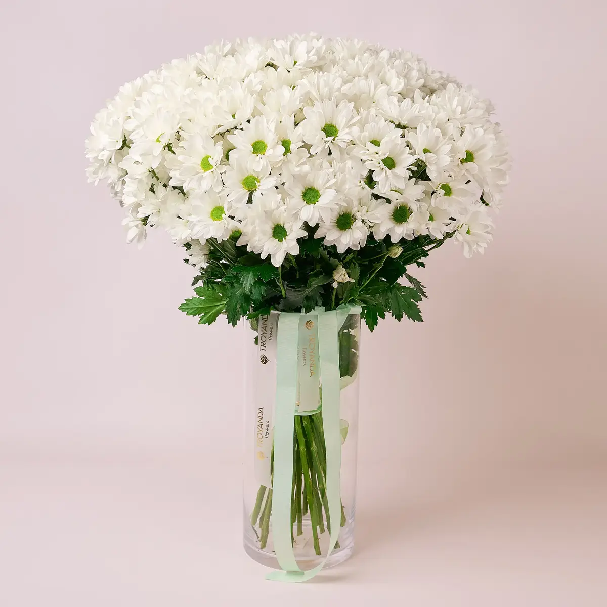 Букет 25 Білих Хризантем Ромашка купити