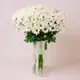 Букет 25 Білих Хризантем Ромашка купити недорого в Україні, фото 192