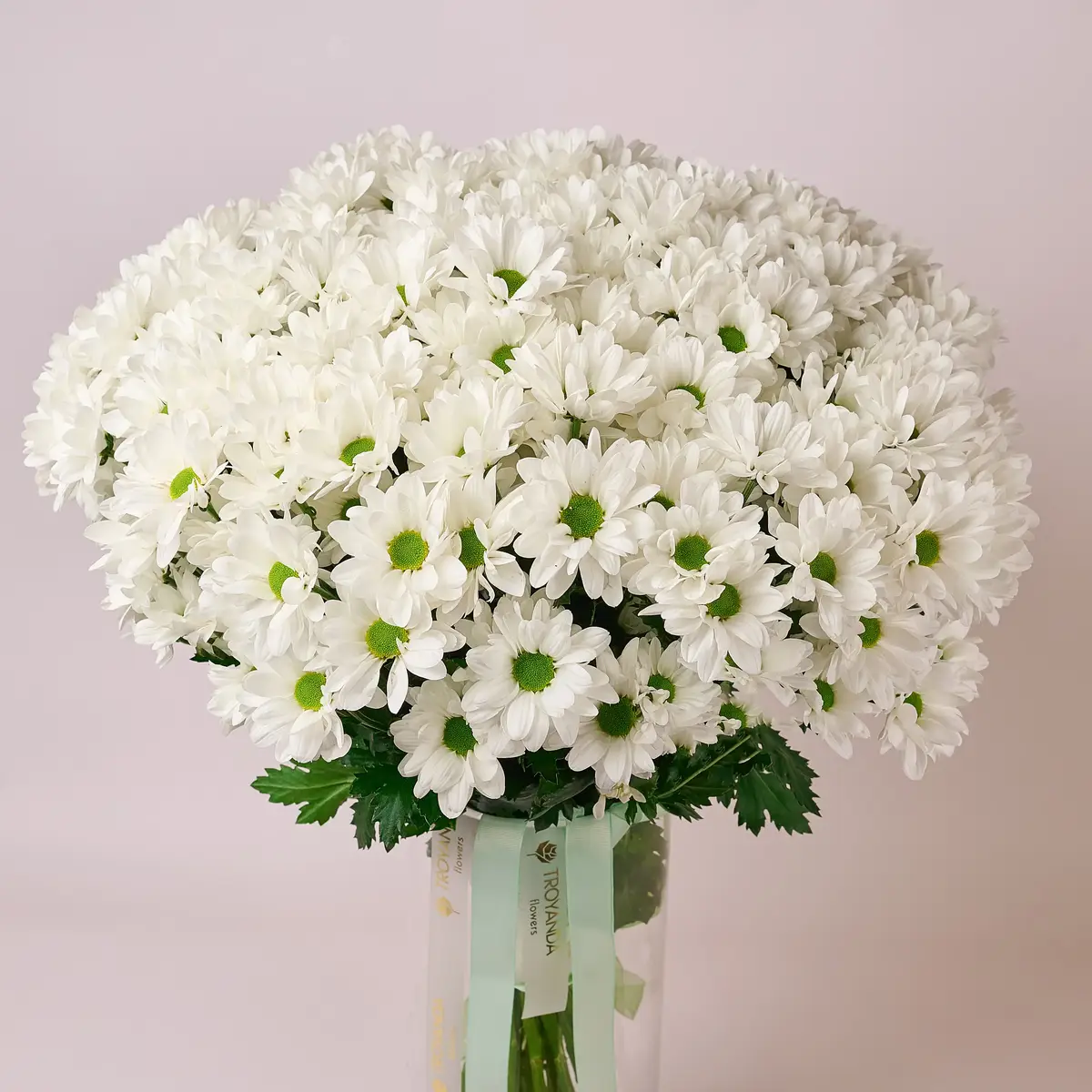 Букет 25 Білих Хризантем Ромашка купити недорого в Україні, фото 2