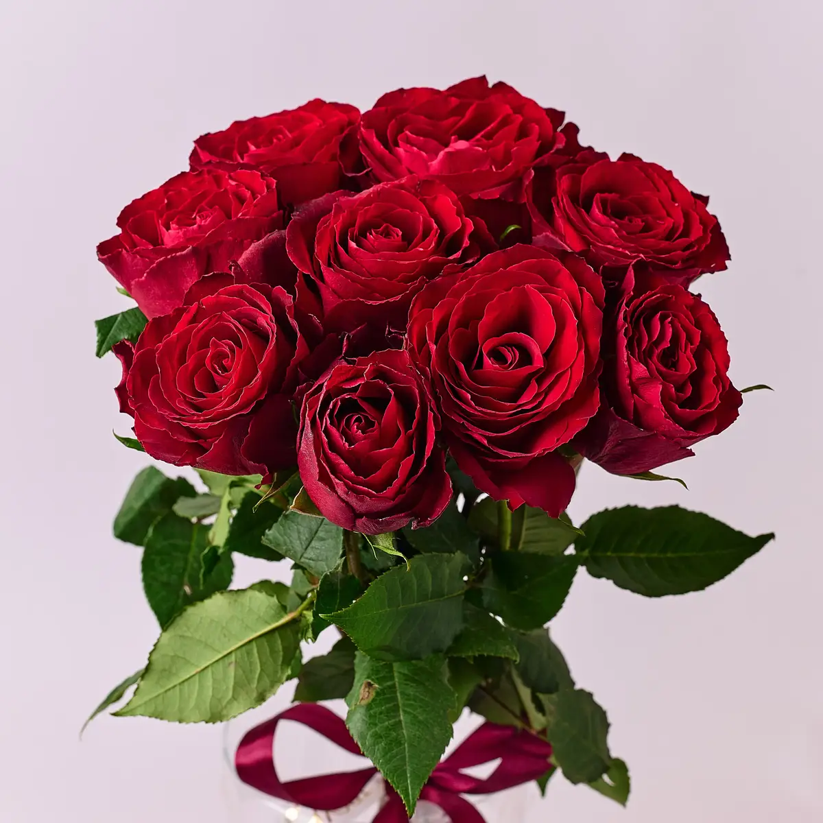 Букет 9 Троянд червоних Мадам Ред купити недорого в Україні, фото 2