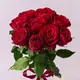 Букет 9 Троянд червоних Мадам Ред купити