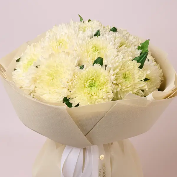 Букет 15 Однобутонних Білих Хризантем купити