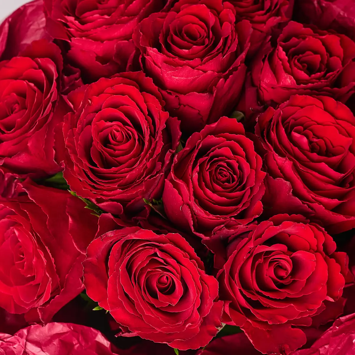 Букет 11 Троянд червоних Мадам Ред купити недорого в Україні, фото 3