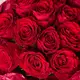 Букет 11 Троянд червоних Мадам Ред купити