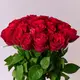Букет 19 Троянд червоних Мадам Ред купити