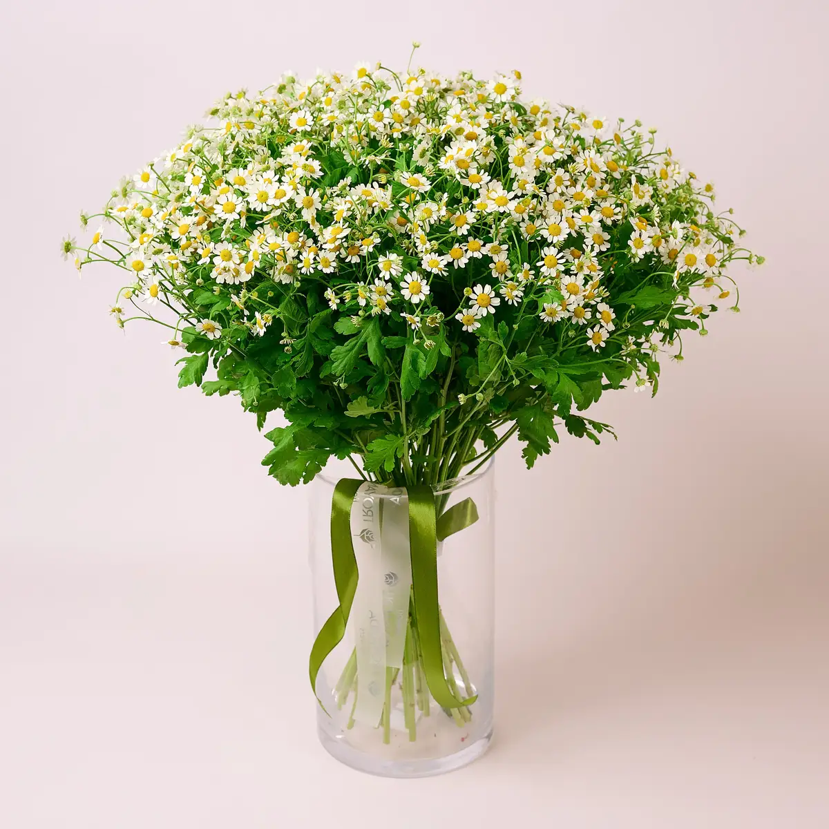 Букет 25 Польових Ромашок купити