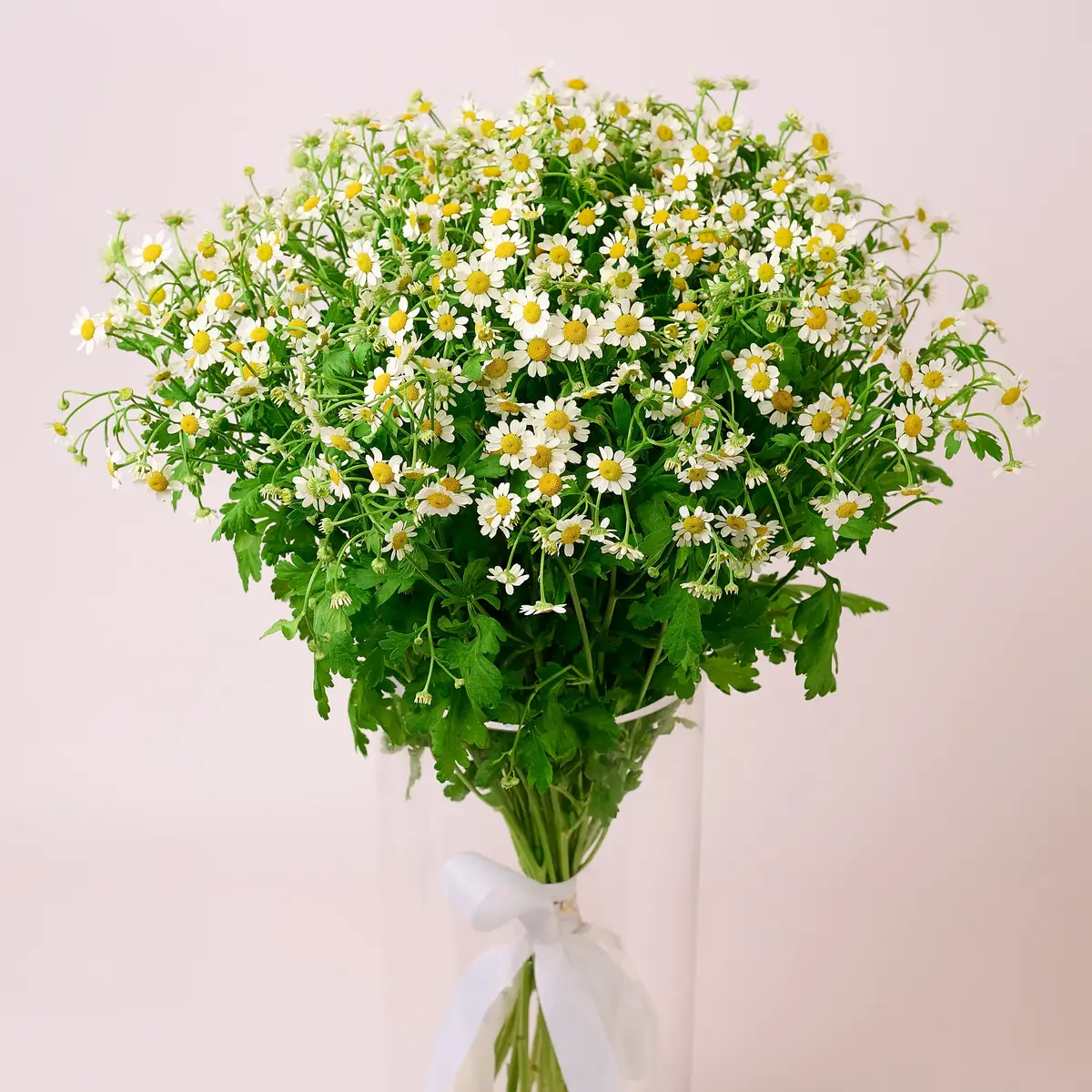 Букет 25 Польових Ромашок купити недорого в Україні, фото 2