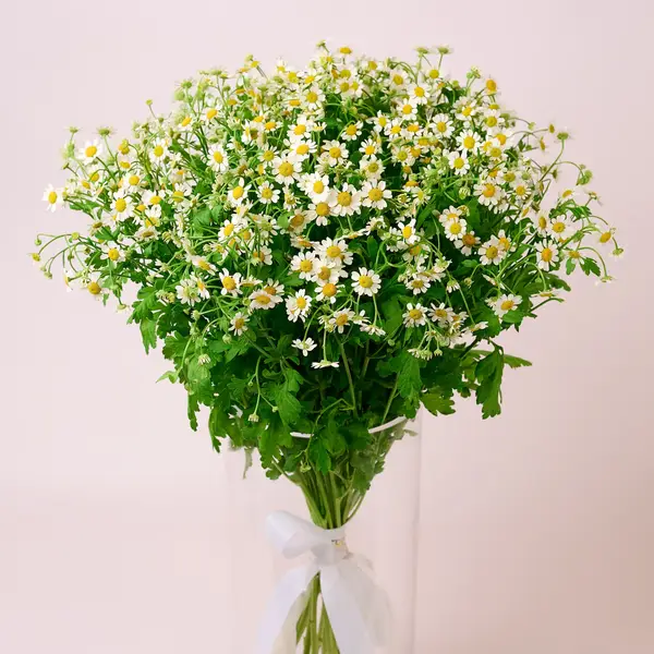 Букет 25 Ромашек купить